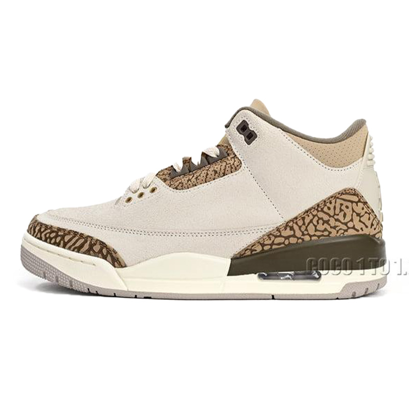 Air Jordan 3 Retro Palomino CT8532-102