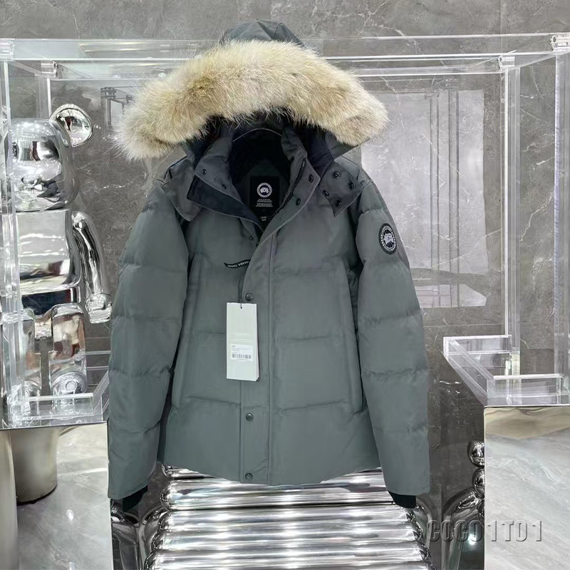 Canada Goose 29 Model Down Jacket Gray