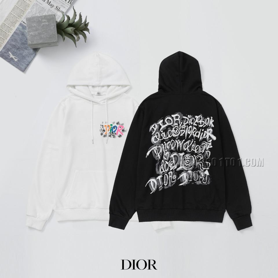 Dior Printed Logo Couple Hoodie N42901