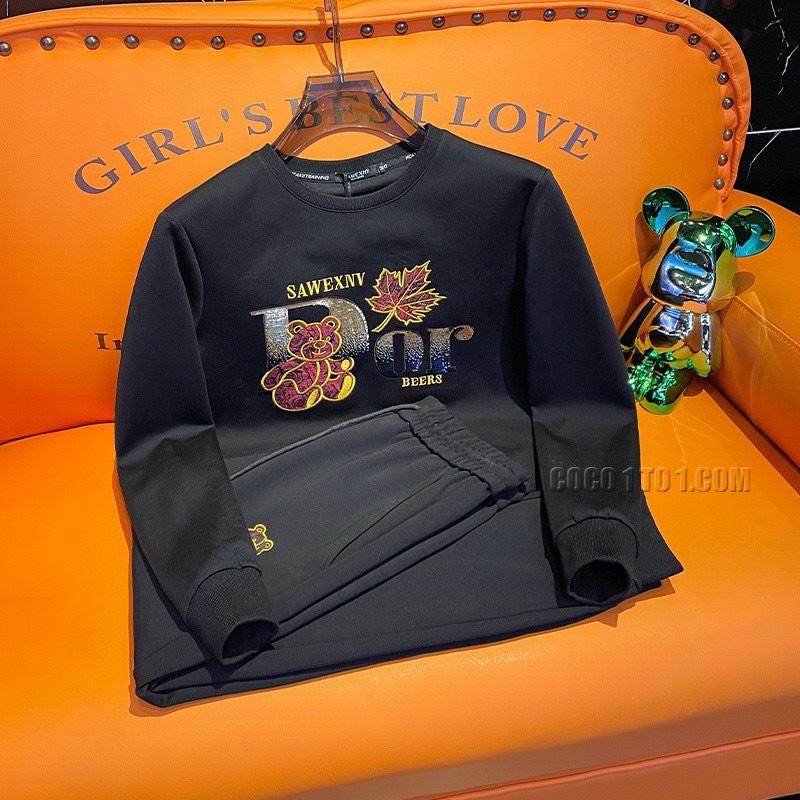 Dior Brand New Explosive Hoodie Suit N42503