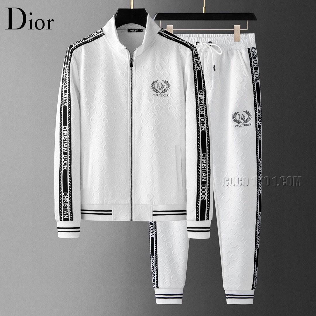 Dior Brand New Explosive Hoodie Suit N42503