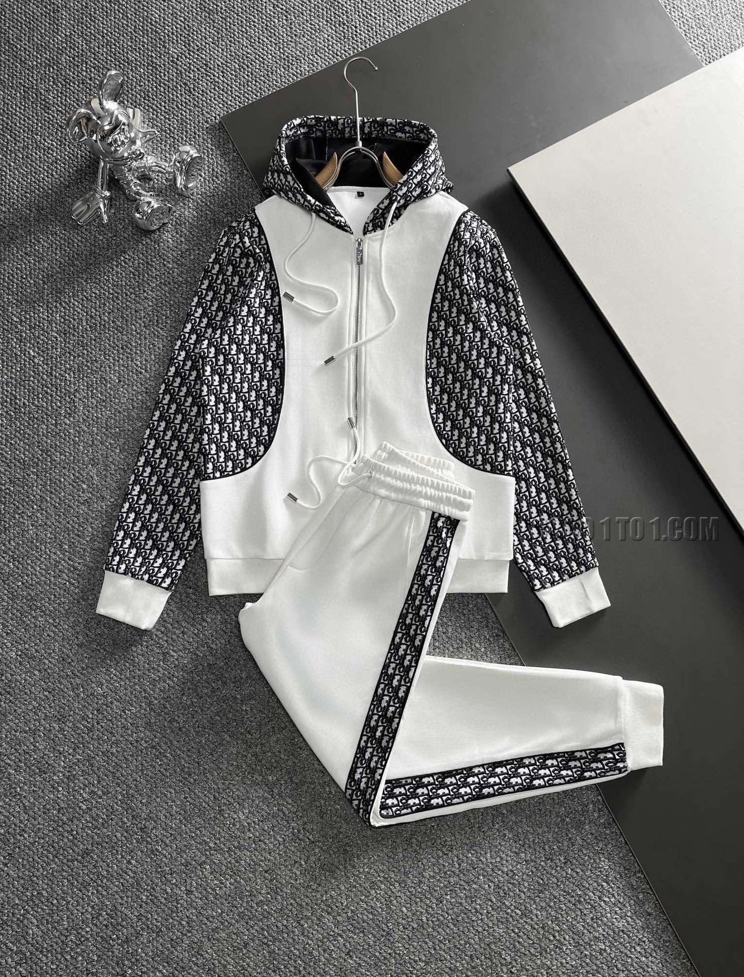 Dior Brand New Explosive Hoodie Suit N42503