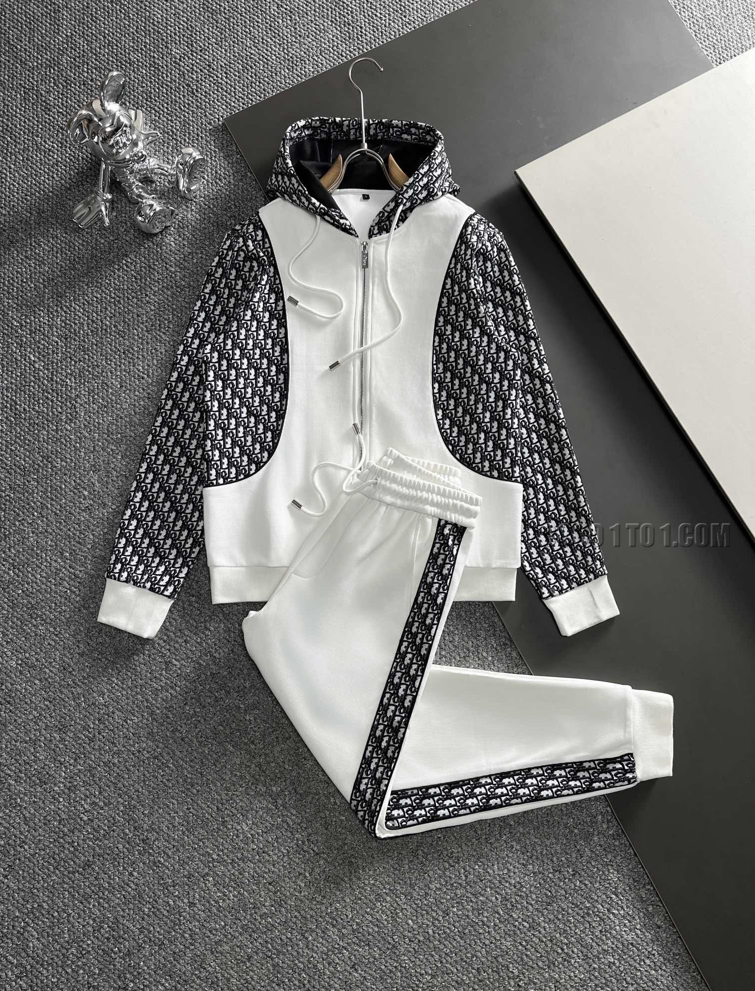 Dior Brand New Explosive Hoodie Suit N42503