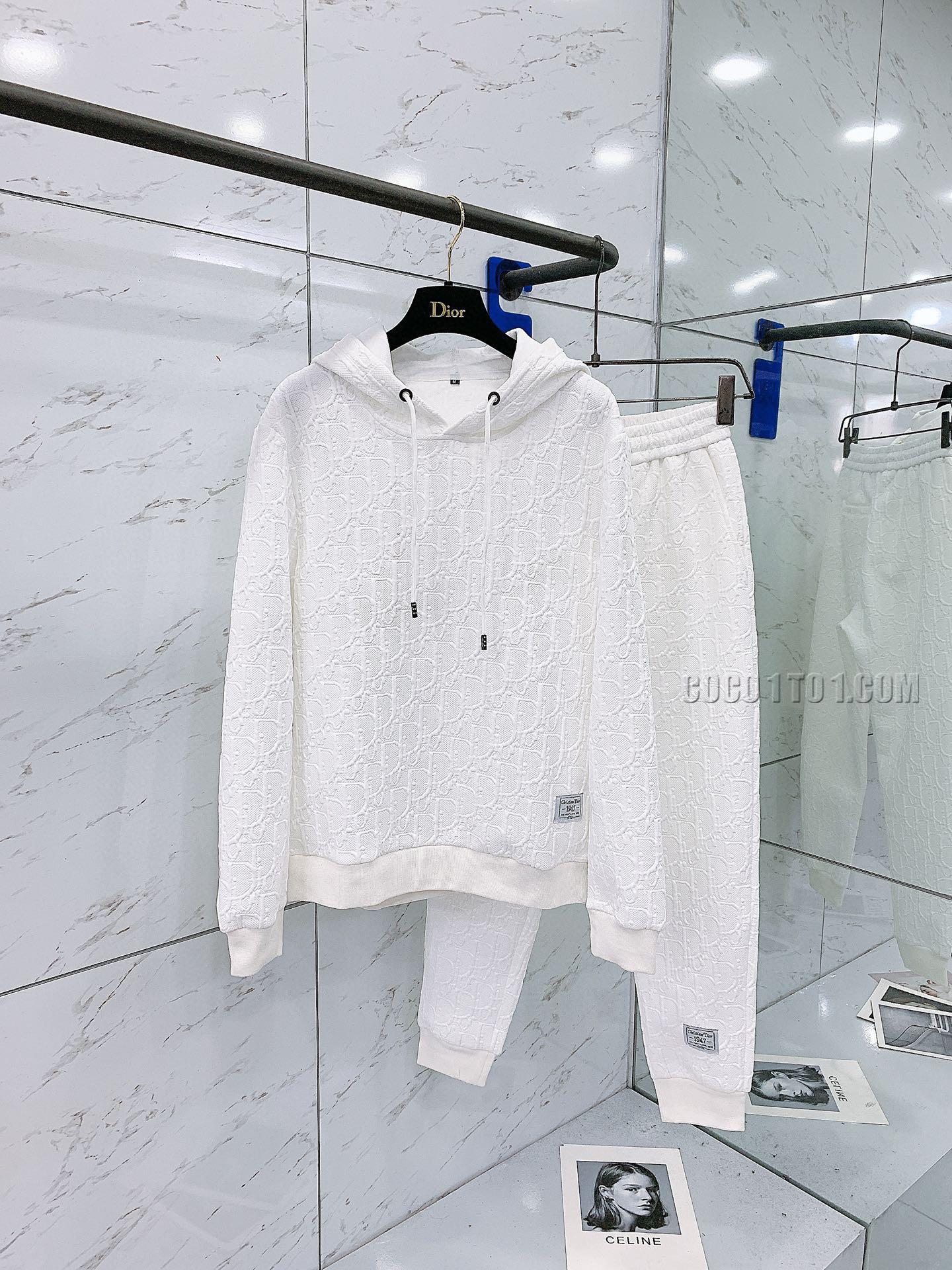 Dior Brand New Explosive Hoodie Suit N42503