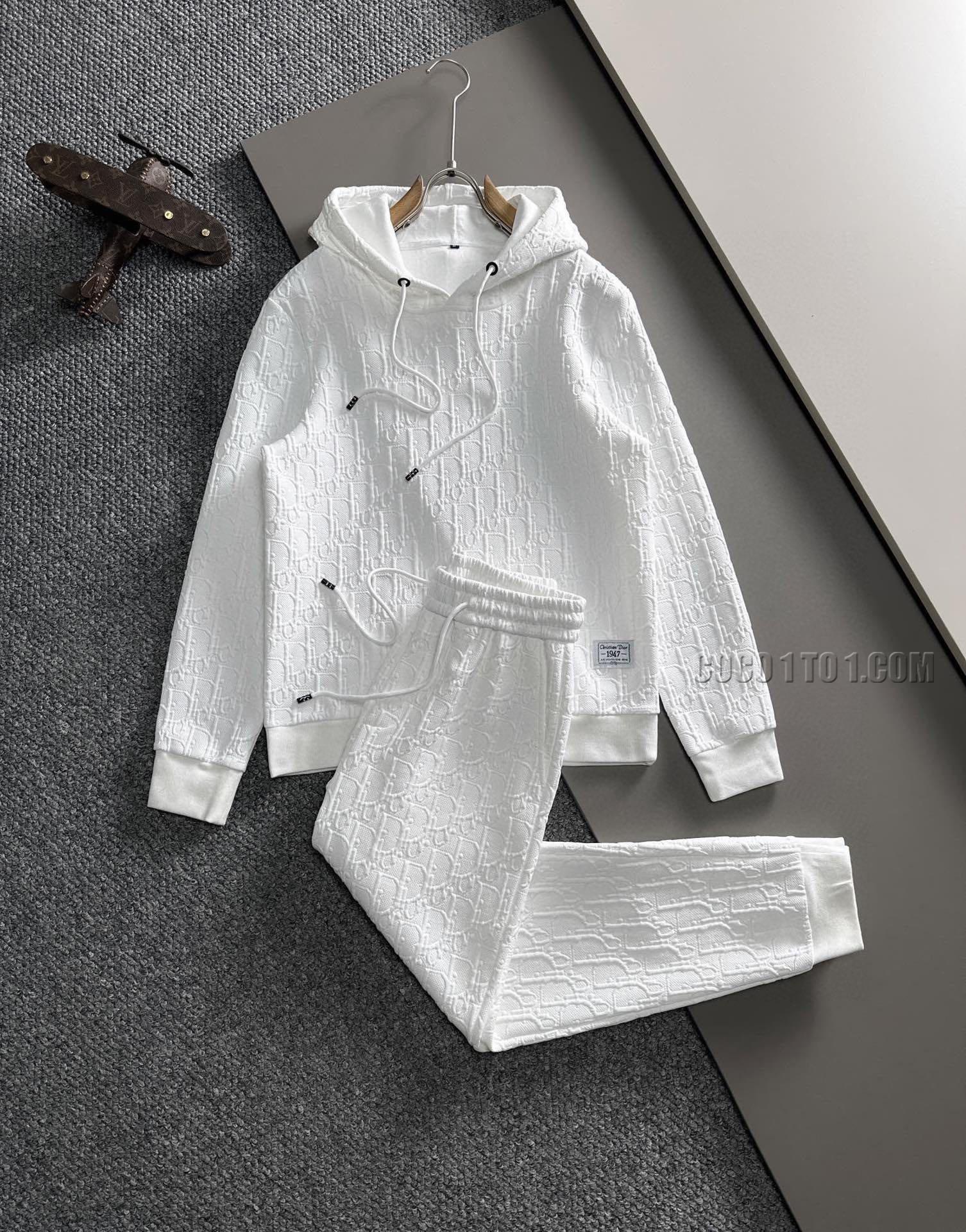 Dior Brand New Explosive Hoodie Suit N42503
